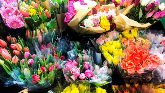 Flower Baby Names: Beautiful Names for Your Little Bloom