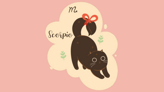Scorpio Baby Names: A Celestial Guide to the Perfect Name