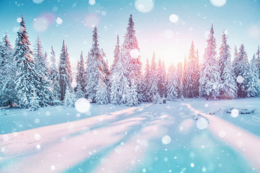 Winter-Themed Baby Names for Your Little Wonder